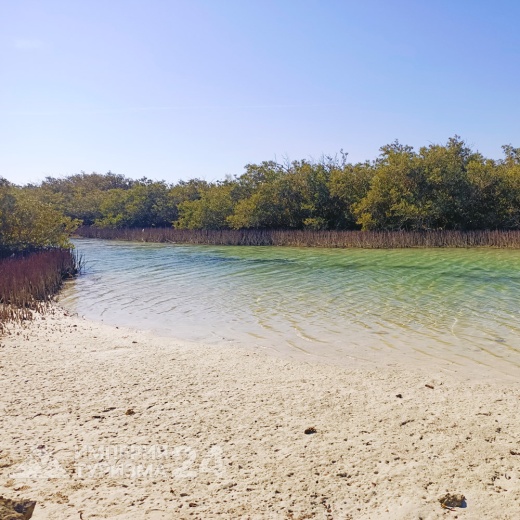Экскурсия в Рас-Мохаммед на автобусе