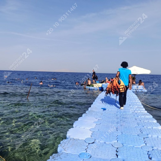 Дайвинг с берега Хилтон Шаркс Бэй