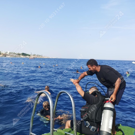 Дайвинг с берега Хилтон Шаркс Бэй