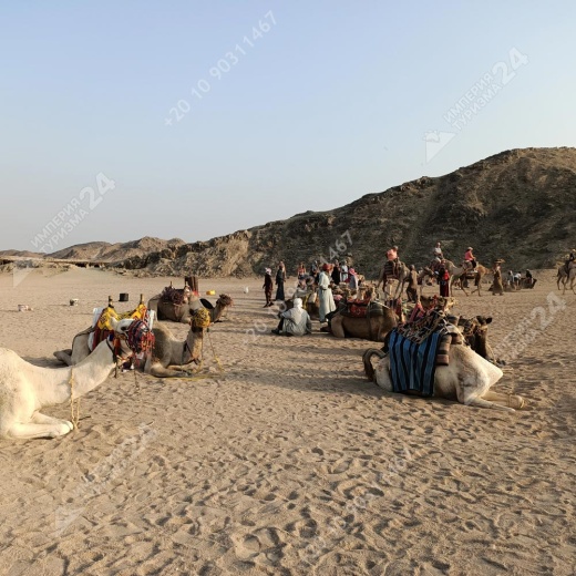 Экскурсия к оазису из Хургады