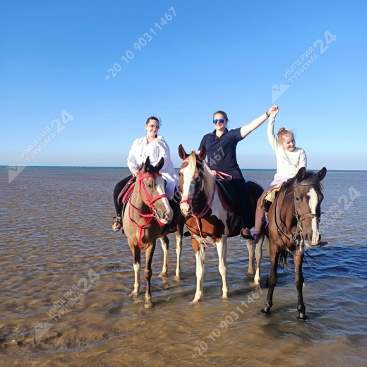 Прогулка на лошадях с купанием в Красном море
