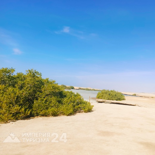 Экскурсия в Рас-Мохаммед на автобусе