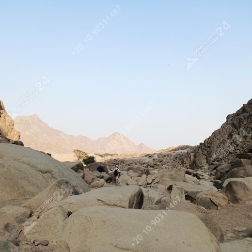 Экскурсия к оазису из Хургады