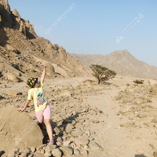 Экскурсия к оазису из Хургады