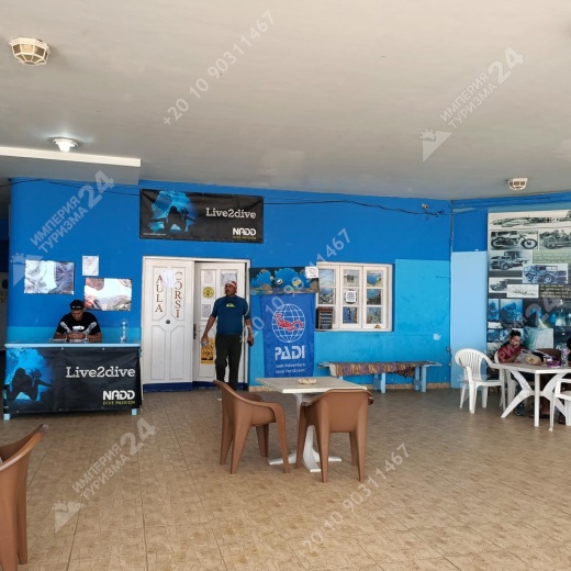 Дайвинг с берега Хилтон Шаркс Бэй