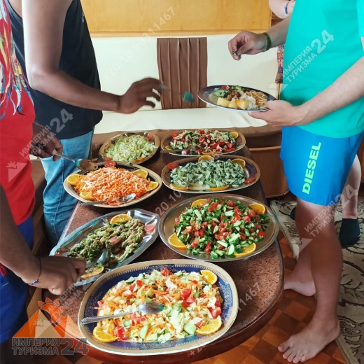 Экскурсия к Дому дельфинов в Хургаде