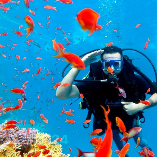 Дайвинг при наличии сертификата близ о.Тиран