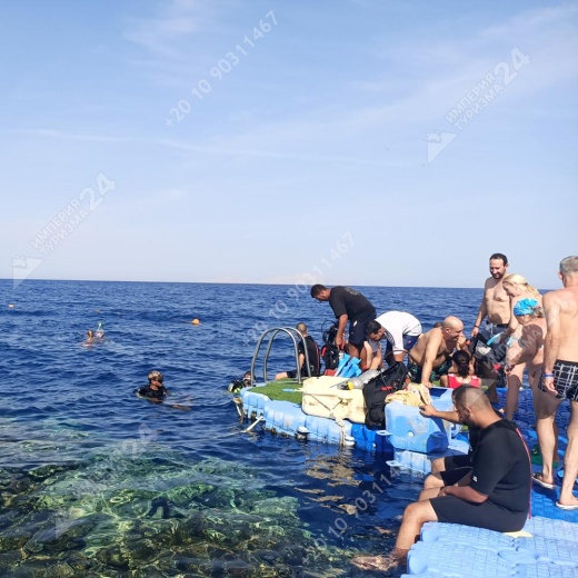 Дайвинг с берега Хилтон Шаркс Бэй