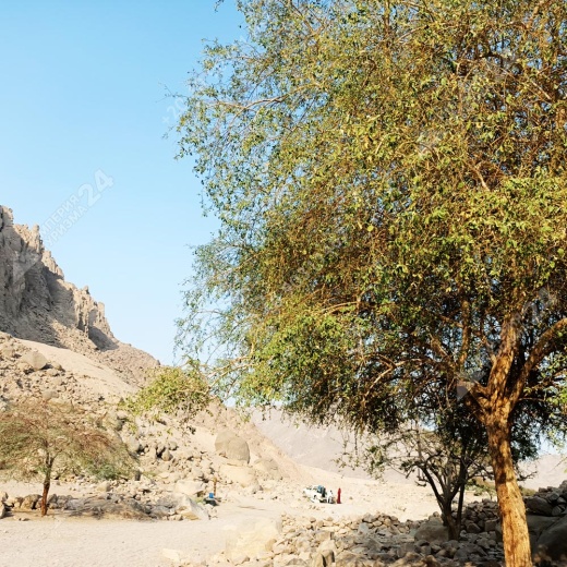 Экскурсия к оазису из Хургады