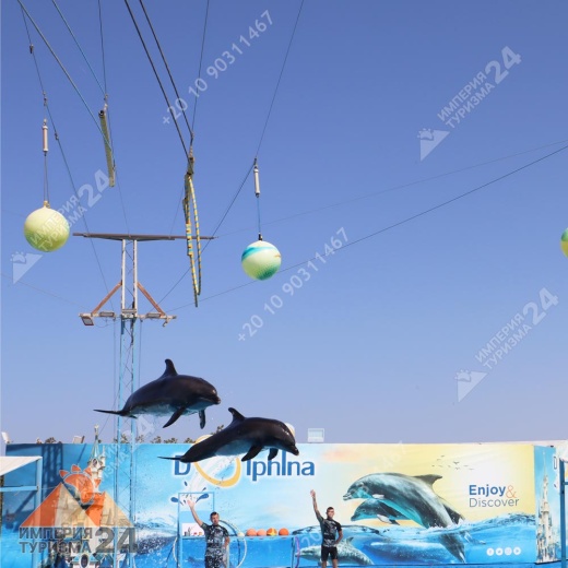 Экскурсия в дельфинарий в Хургаде