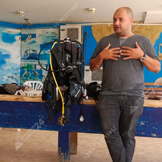 Дайвинг с берега Хилтон Шаркс Бэй