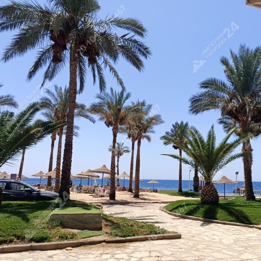 Дайвинг с берега Хилтон Шаркс Бэй