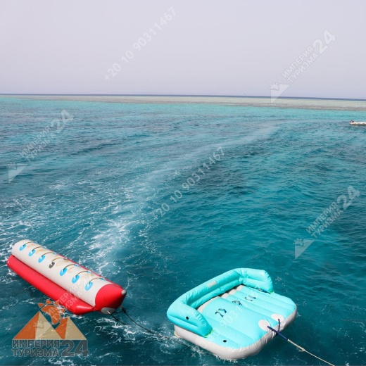 Экскурсия к Дому дельфинов в Хургаде