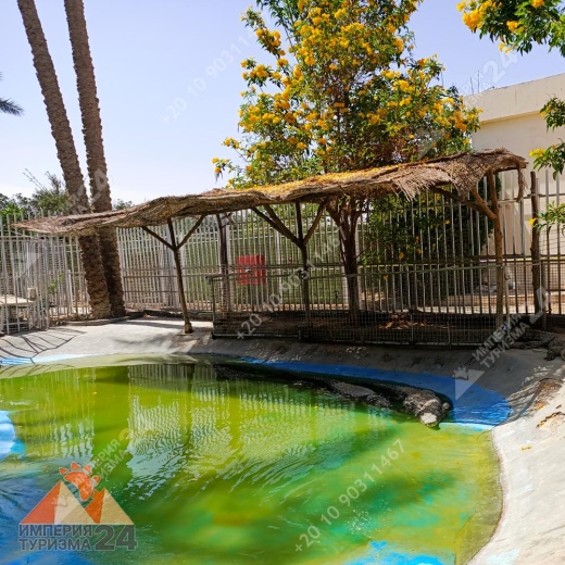 Экскурсия в Гранд Аквариум в Хургаде