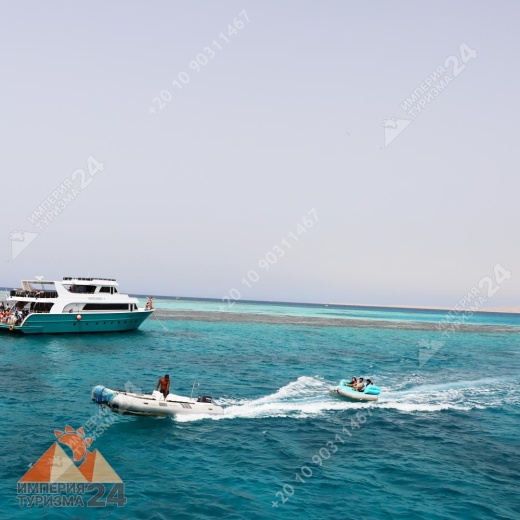 Экскурсия к Дому дельфинов в Хургаде