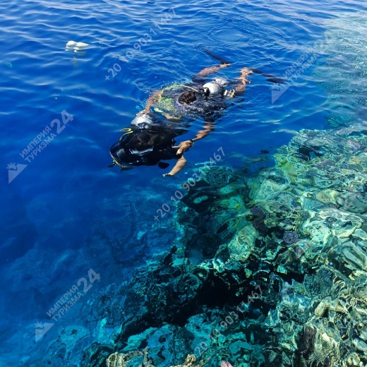 Дайвинг с берега в Эль Фанаре