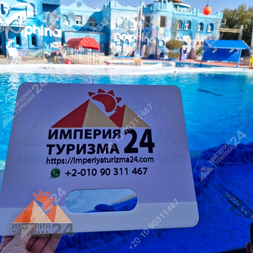 Экскурсия в дельфинарий в Шарм-эль-Шейхе