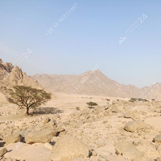 Экскурсия к оазису из Хургады