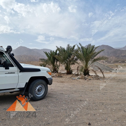 Экскурсия в Wadi El Weshwash