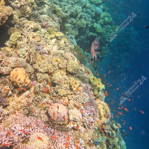 Экскурсия: Каньон Салама 4 в 1 и Голубая Дыра