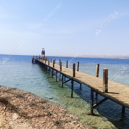 Дайвинг с берега в Эль Фанаре