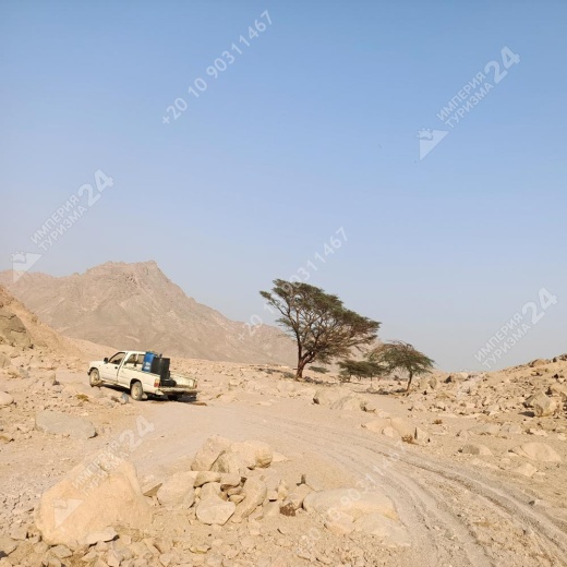 Экскурсия к оазису из Хургады