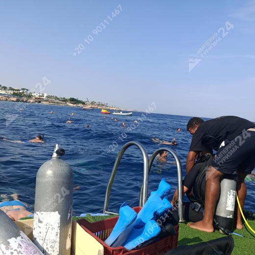 Дайвинг с берега Хилтон Шаркс Бэй