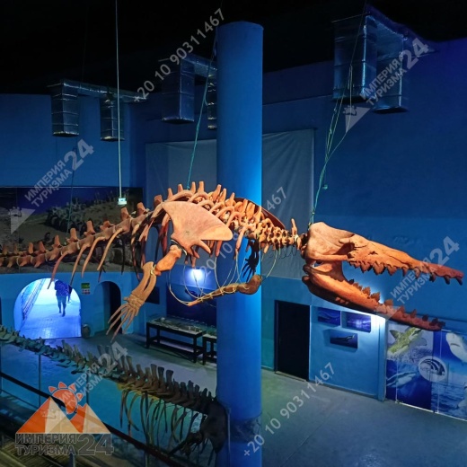 Экскурсия в Гранд Аквариум в Хургаде