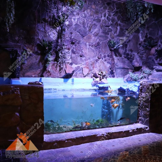 Экскурсия в Гранд Аквариум в Хургаде