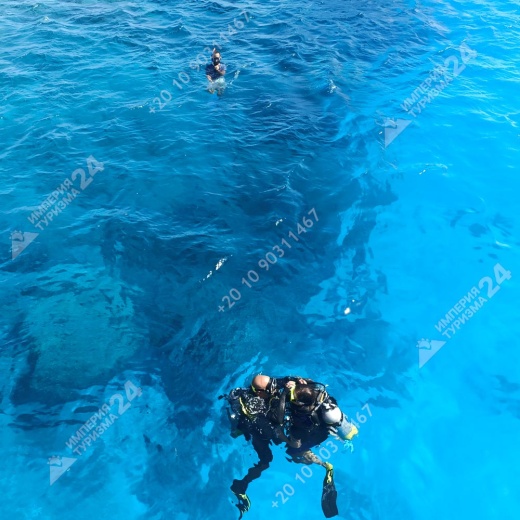 Экскурсия в Оранжевую бухту с дайвингом