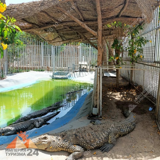 Экскурсия в Гранд Аквариум в Хургаде