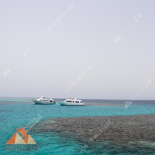 Экскурсия к Дому дельфинов в Хургаде