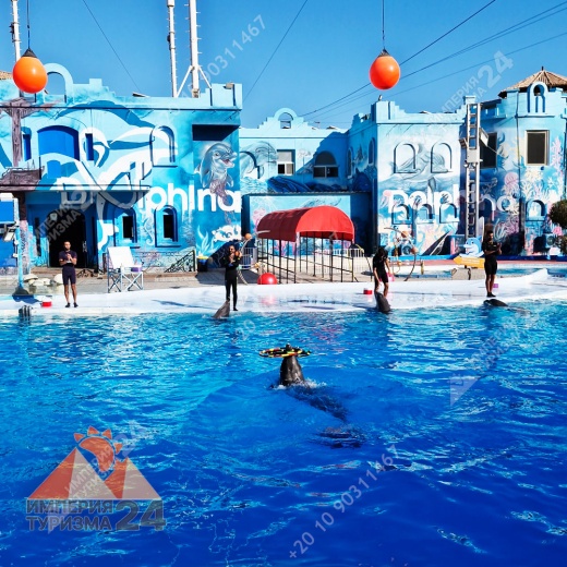 Экскурсия в дельфинарий в Шарм-эль-Шейхе