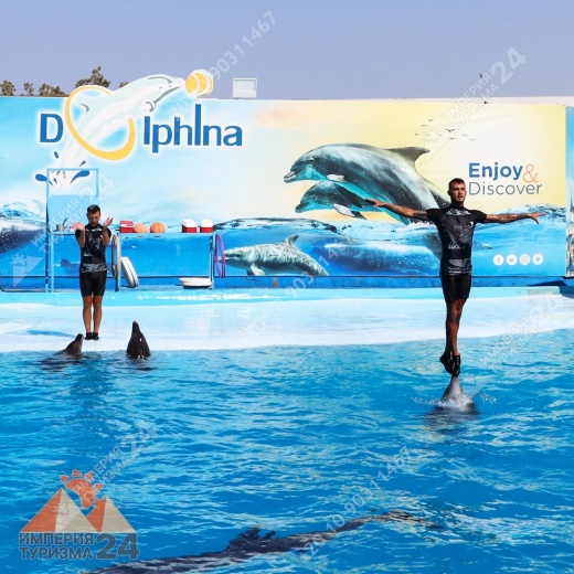 Экскурсия в дельфинарий в Хургаде
