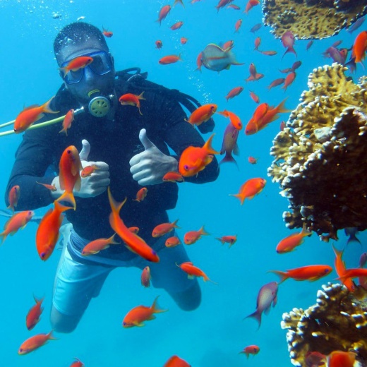 Дайвинг в Рас-Мохаммед (с сертификатом)