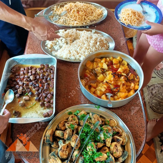 Экскурсия к Дому дельфинов в Хургаде