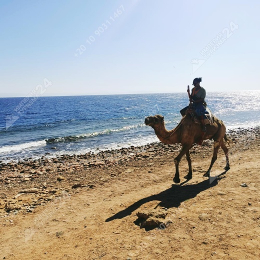 Экскурсия «Цветной каньон Салама 4 в 1»