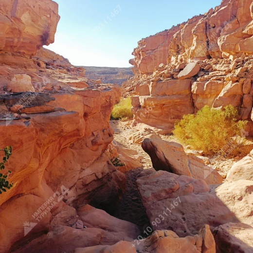 Экскурсия: Каньон Салама 4 в 1 и Голубая Дыра