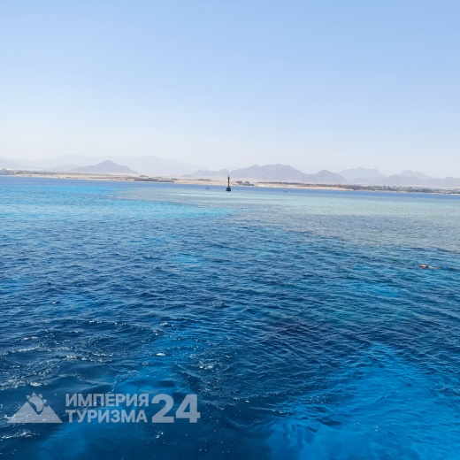 Дайвинг при наличии сертификата близ о.Тиран