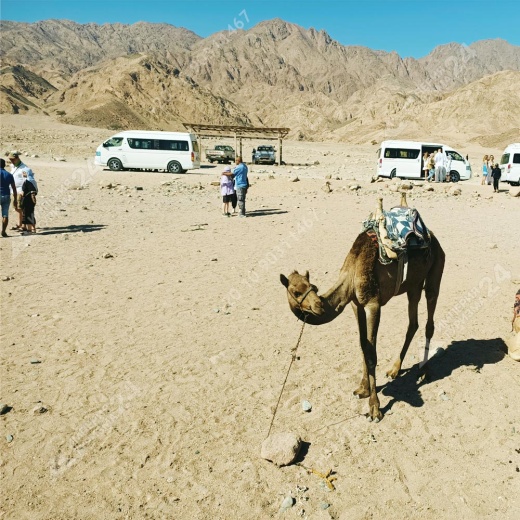 Экскурсия: Каньон Салама 4 в 1 и Голубая Дыра