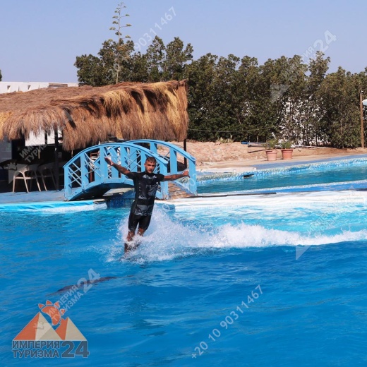 Экскурсия в дельфинарий в Хургаде