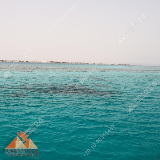 Экскурсия к Дому дельфинов в Хургаде