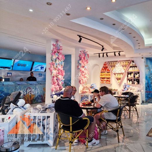 Экскурсия в дельфинарий в Шарм-эль-Шейхе