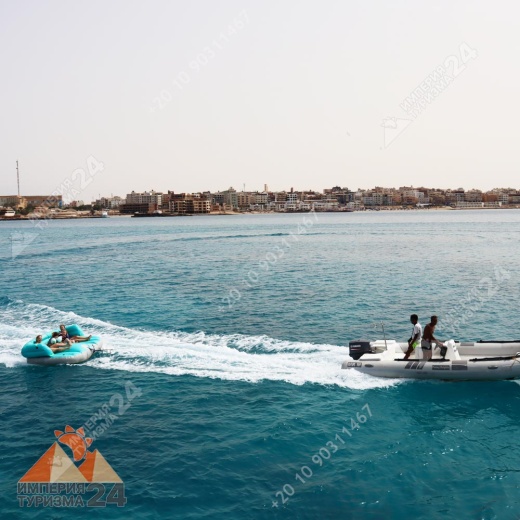 Экскурсия к Дому дельфинов в Хургаде