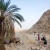 Экскурсия к оазису из Хургады