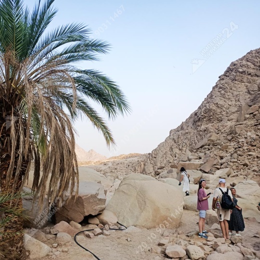 Экскурсия к оазису из Хургады