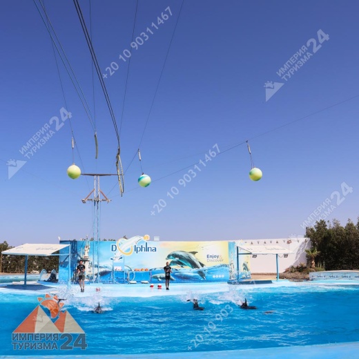 Экскурсия в дельфинарий в Хургаде