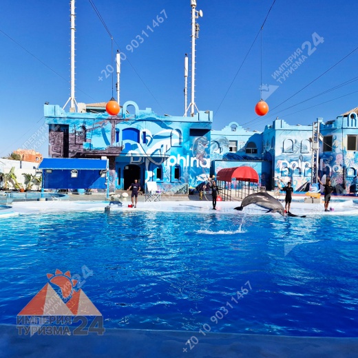 Экскурсия в дельфинарий в Шарм-эль-Шейхе