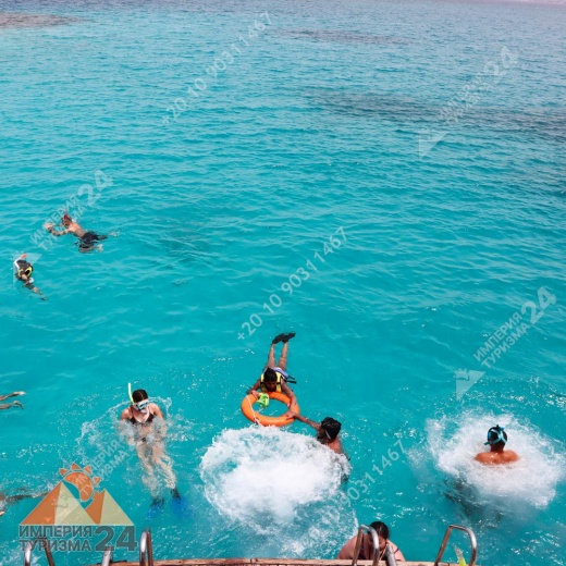 Экскурсия к Дому дельфинов в Хургаде