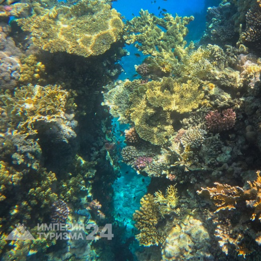 Экскурсия к Белому острову на яхте «Барбаросса»